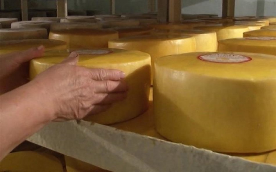 Любимый сыр из Кудара-Сомона можно купить 16 февраля в Улан-Удэ